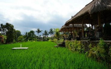 Konsep Rumah Makan Saung