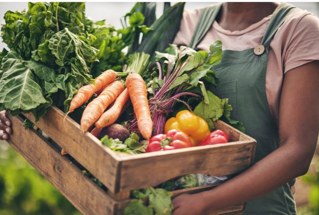Apa Itu Bargaining dalam Bisnis Kuliner